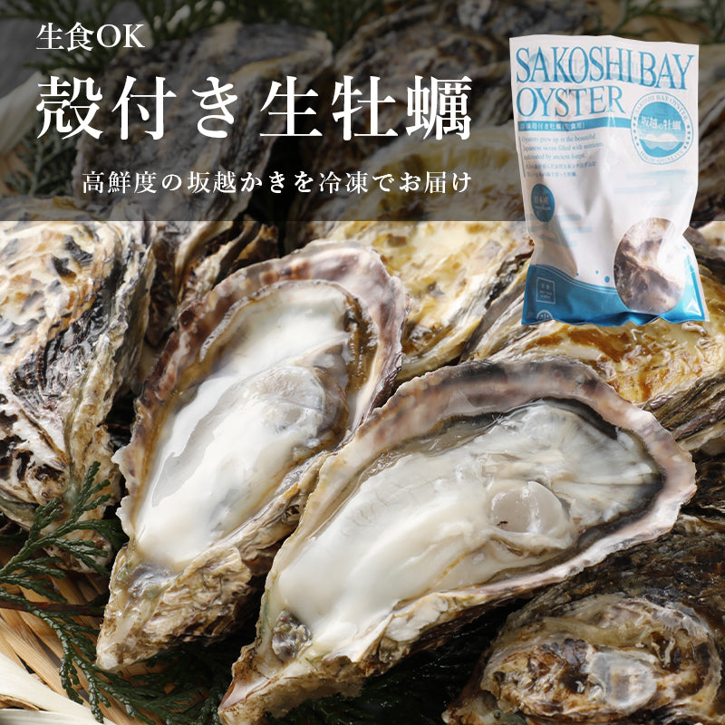 –　お得用】殻付き生牡蠣12個入×3袋セット-冷凍生食用-　光栄水産