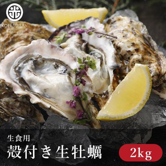 殻付き牡蠣２kg - 光栄水産